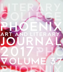 Cover of 2017 Phoenix