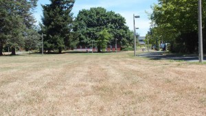 campus grass goes brown during drought