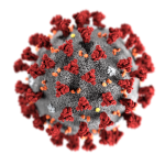computer illustration of a novel coronavirus