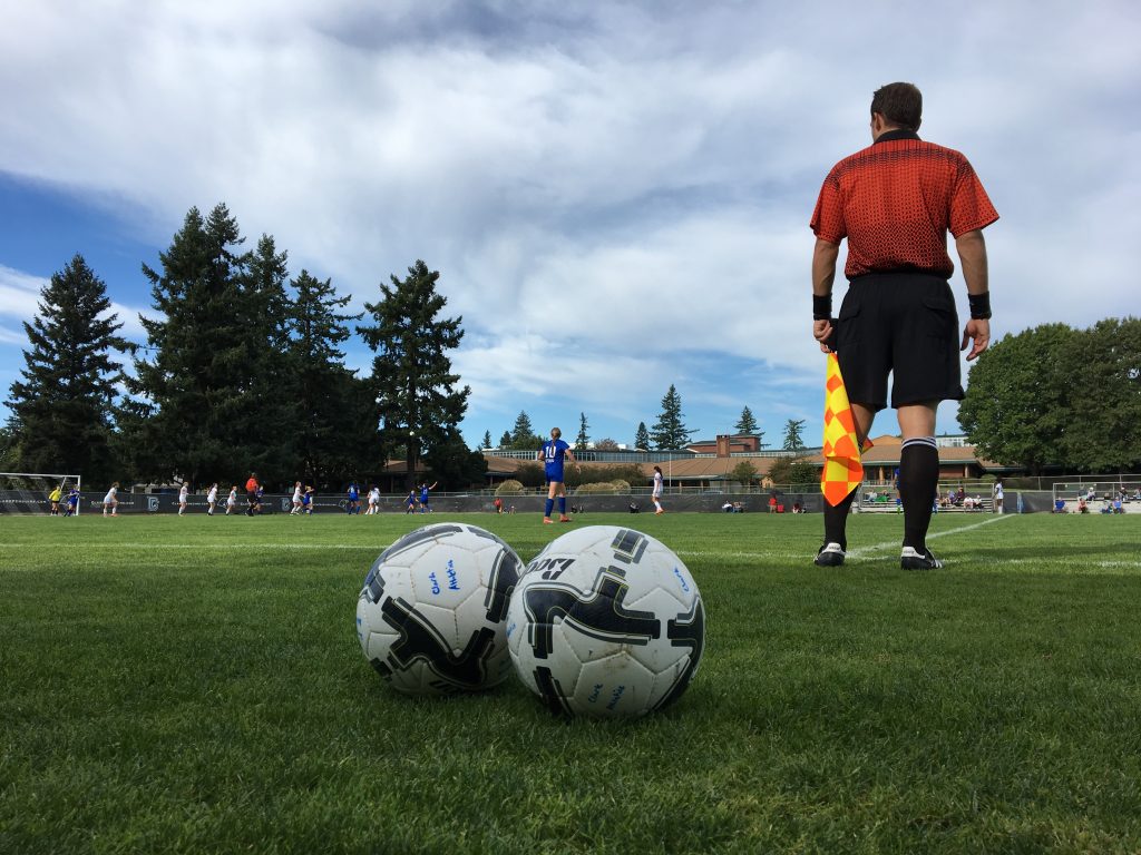 soccer referee looking away, two soccer balls in foreground