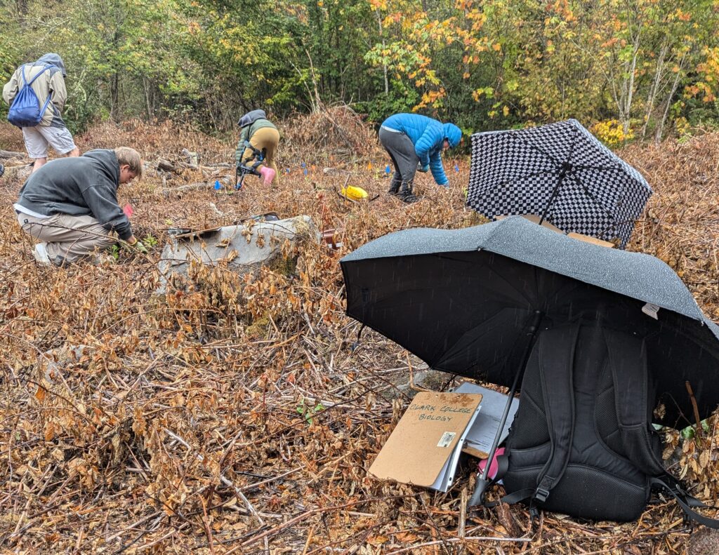 umbrella covering backpack and clipboard