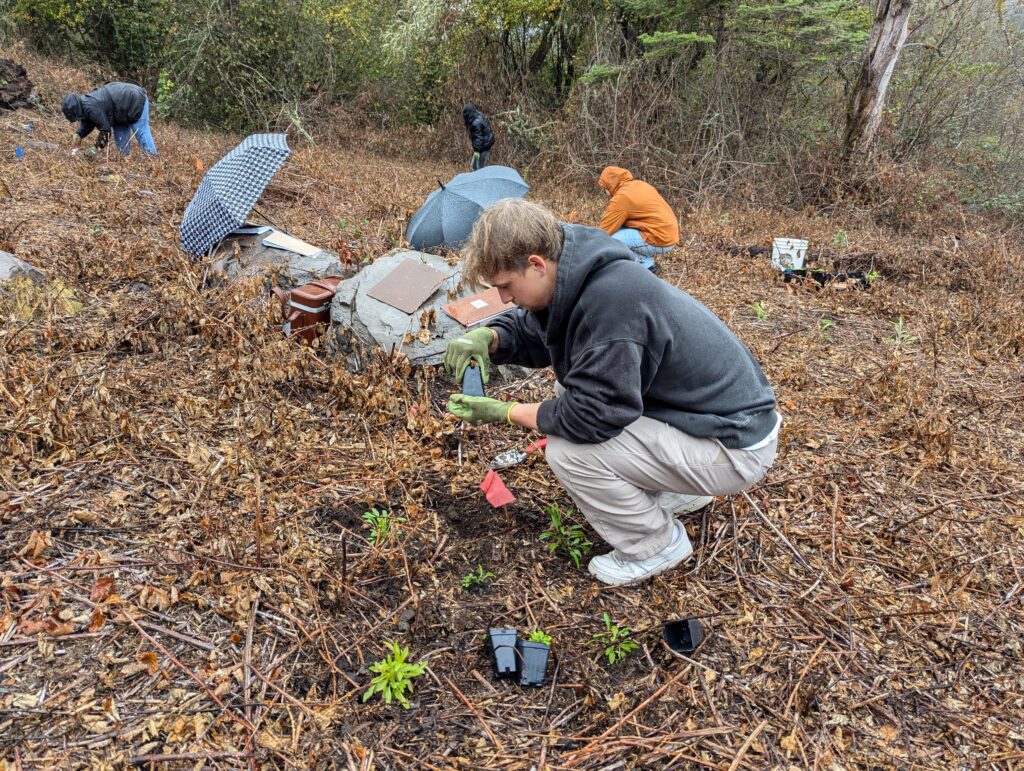 students planting