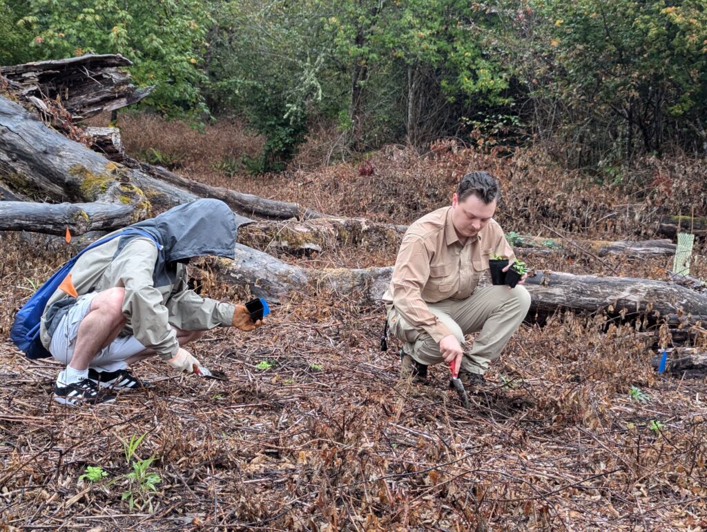 two students planting