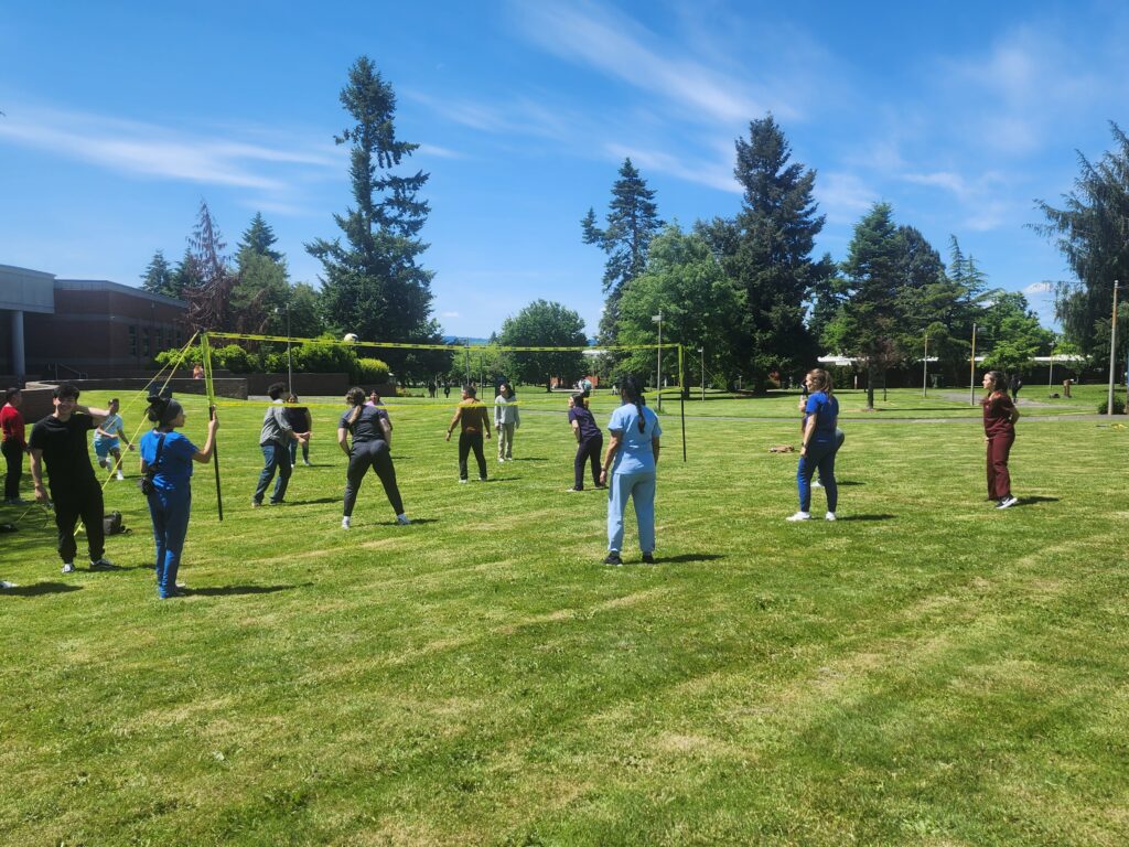 people play volleyball on grass