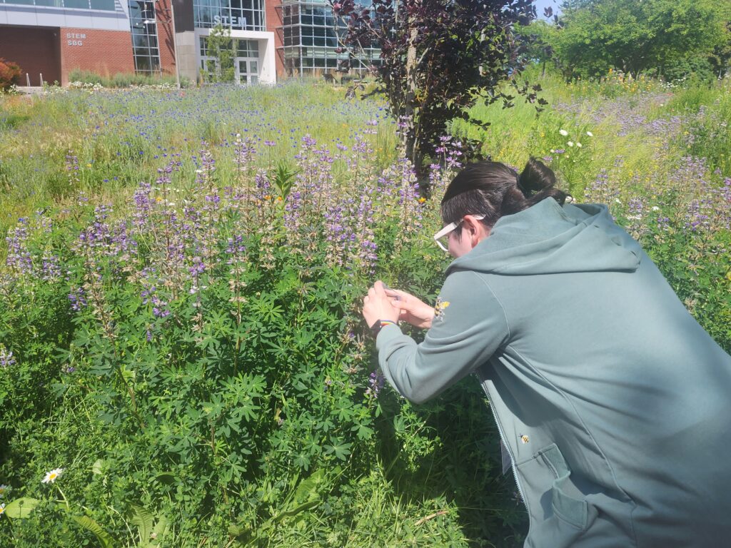person leaning over plants