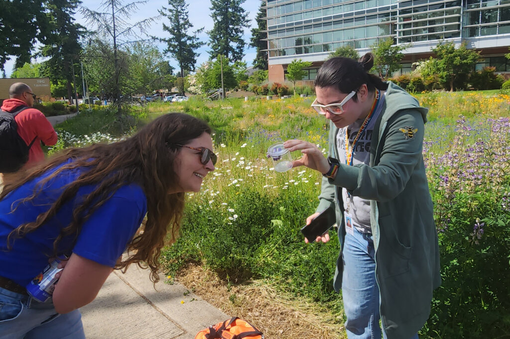 two people look at bees