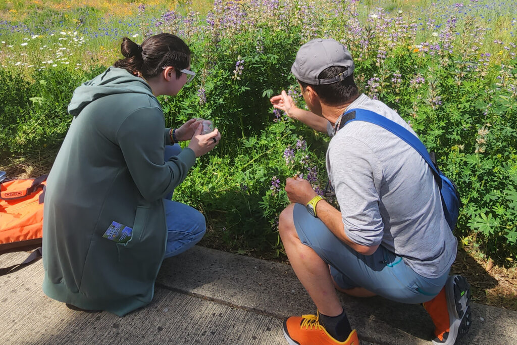back of two people pointing into plants