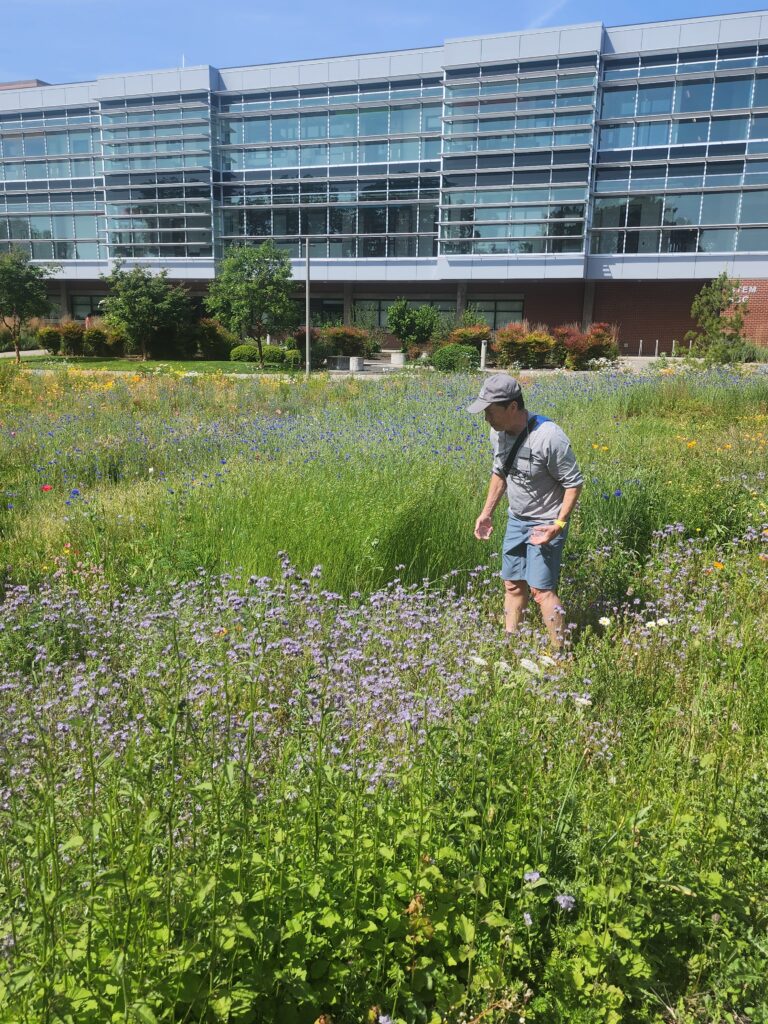 person in field