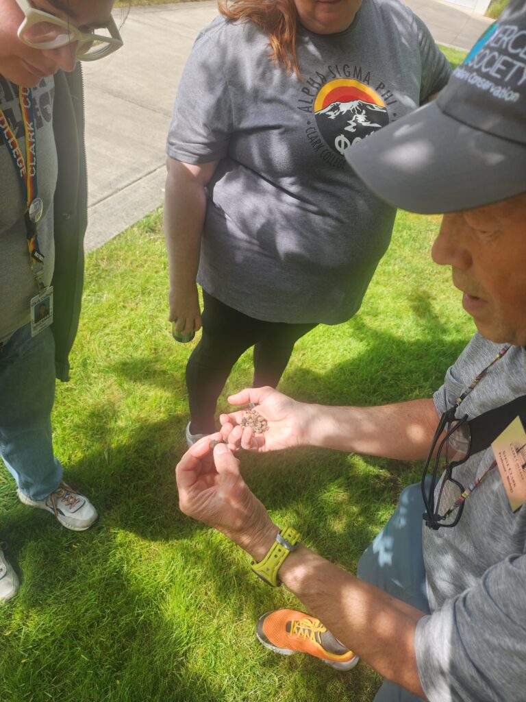 people looking into hand of bees