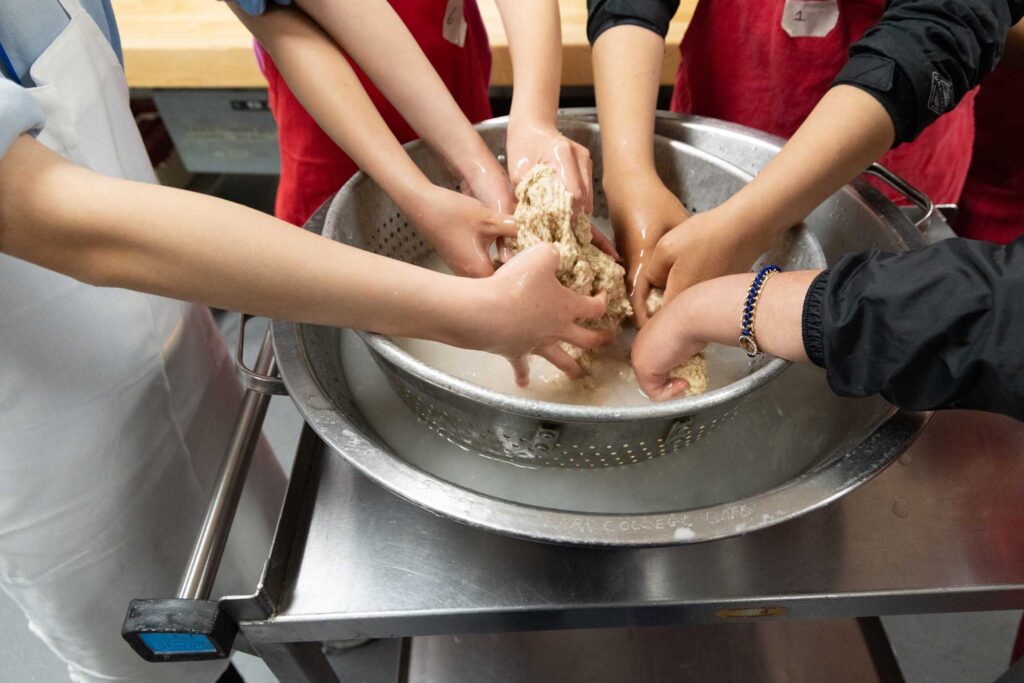 Multiple hands working together to knead seitan dough.